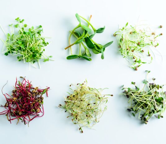 Microgreens mix VFeducation