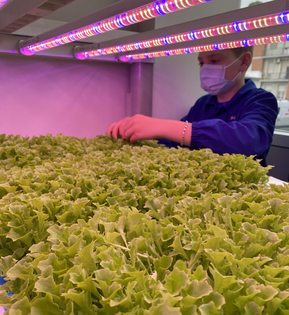 Vertical Farming Education Lab