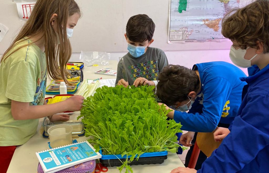 Vertical Farming Education Lab