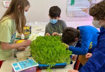 Vertical Farming Education Lab