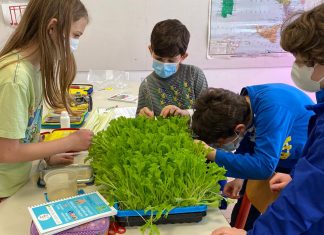 Vertical Farming Education Lab