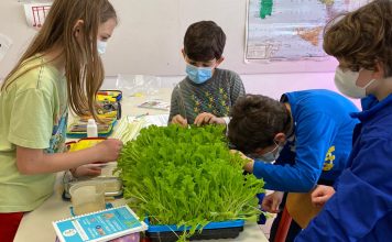 Vertical Farming Education Lab