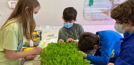 Vertical Farming Education Lab