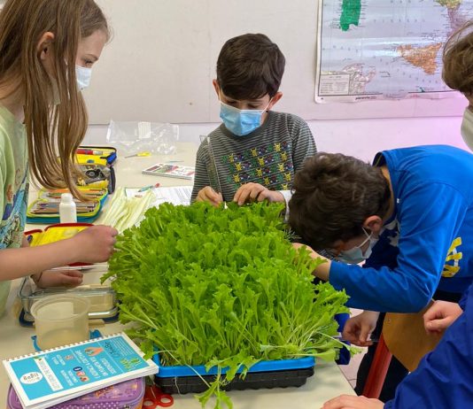 Vertical Farming Education Lab