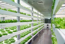 Vertical Farming - Sananbio