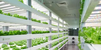 Vertical Farming - Sananbio