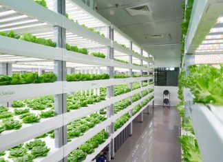 Vertical Farming - Sananbio