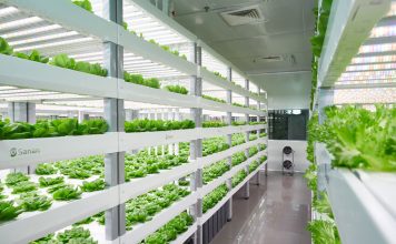 Vertical Farming - Sananbio