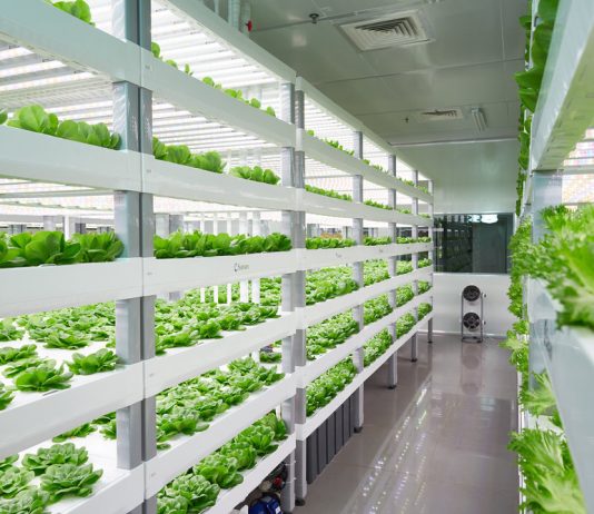 Vertical Farming - Sananbio